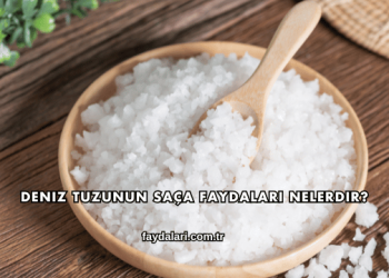 Deniz Tuzunun Saça Faydaları Nelerdir?
