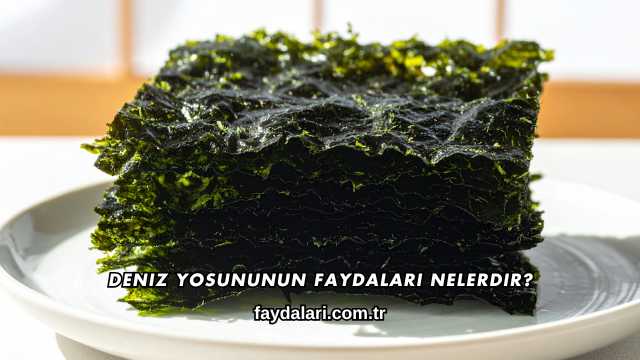 Deniz Yosununun Faydaları Nelerdir?