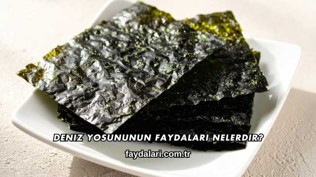 Deniz Yosununun Faydaları Nelerdir?