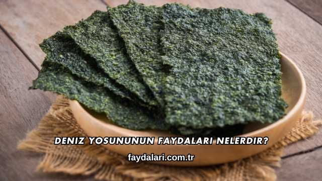 Deniz Yosununun Faydaları Nelerdir?