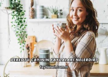 Dereotu Çayının Faydaları Nelerdir?