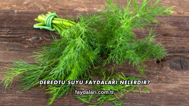 Dereotu Suyu Faydaları Nelerdir?