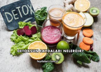 Detoksun Faydaları Nelerdir?