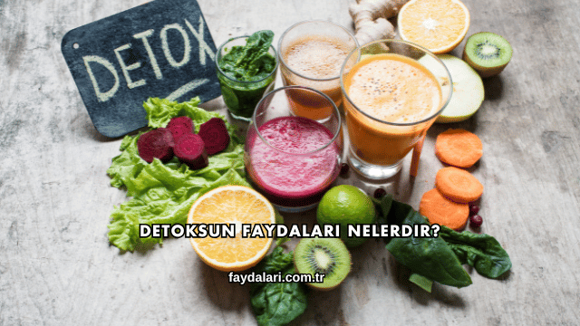 Detoksun Faydaları Nelerdir?
