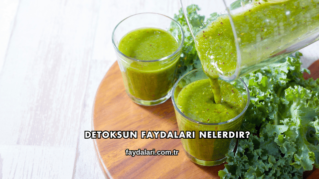 Detoksun Faydaları Nelerdir?