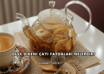 Deve Dikeni Çayı Faydaları Nelerdir?