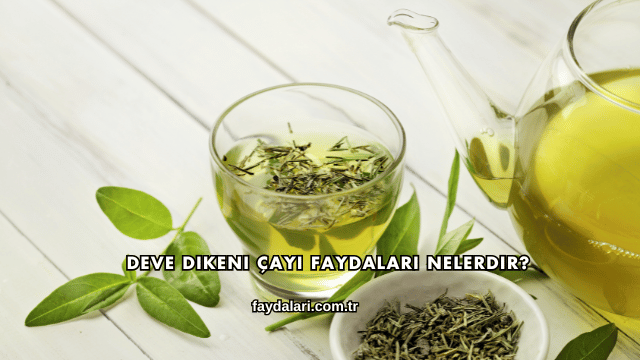Deve Dikeni Çayı Faydaları Nelerdir?
