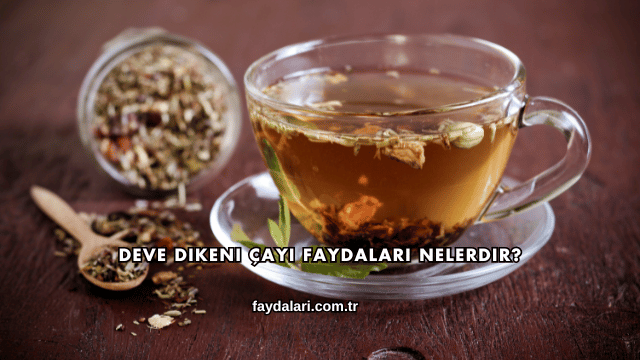 Deve Dikeni Çayı Faydaları Nelerdir?