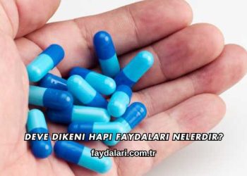 Deve Dikeni Hapı Faydaları Nelerdir?