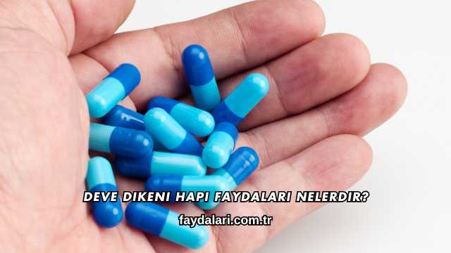 Deve Dikeni Hapı Faydaları Nelerdir?