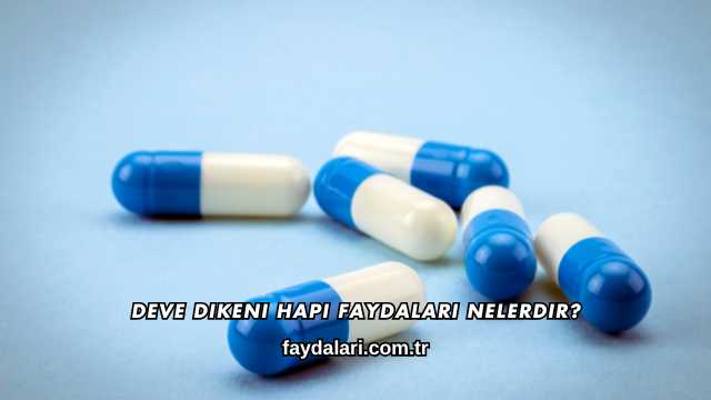 Deve Dikeni Hapı Faydaları Nelerdir?