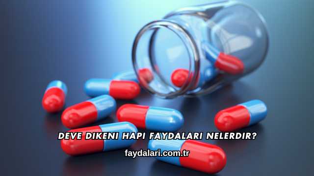 Deve Dikeni Hapı Faydaları Nelerdir?