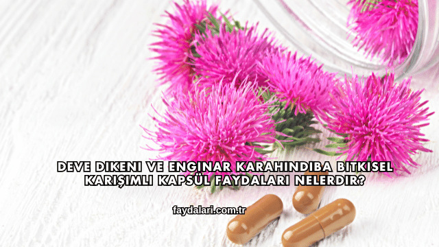 Deve Dikeni ve Enginar Karahindiba Bitkisel Karışımlı Kapsül Faydaları Nelerdir?
