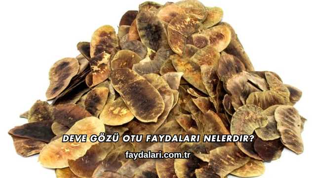 Deve Gözü Otu Faydaları Nelerdir?