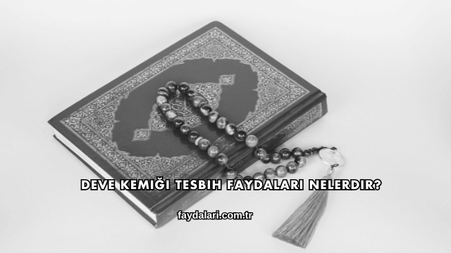 Deve Kemiği Tesbih Faydaları Nelerdir?