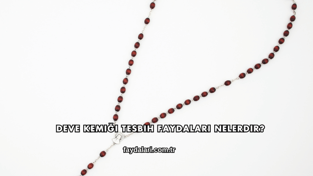 Deve Kemiği Tesbih Faydaları Nelerdir?