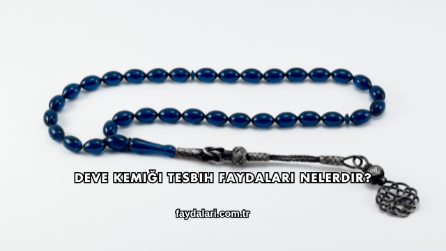 Deve Kemiği Tesbih Faydaları Nelerdir?