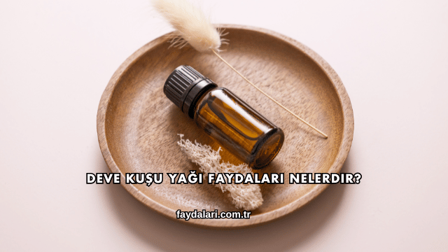 Deve Kuşu Yağı Faydaları Nelerdir?