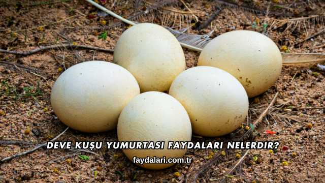 Deve Kuşu Yumurtası Faydaları Nelerdir?