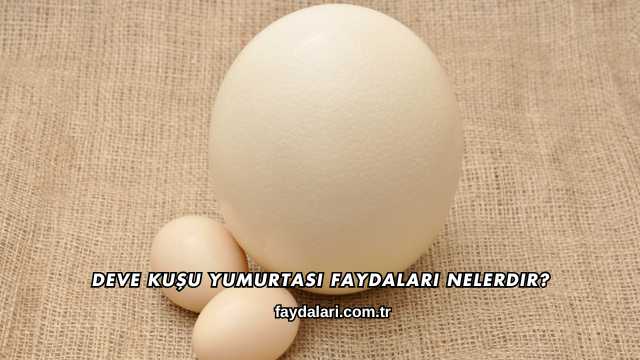 Deve Kuşu Yumurtası Faydaları Nelerdir?