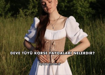 Deve Tüyü Korse Faydaları Nelerdir?