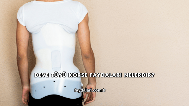 Deve Tüyü Korse Faydaları Nelerdir?