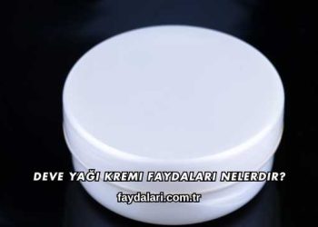 Deve Yağı Kremi Faydaları Nelerdir?