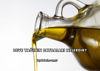 Deve Yağının Faydaları Nelerdir?