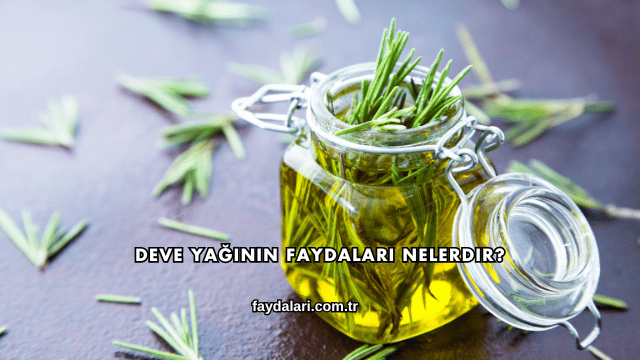 Deve Yağının Faydaları Nelerdir?
