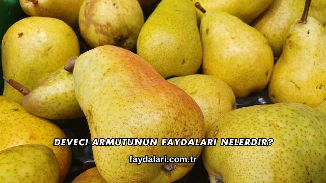 Deveci Armutunun Faydaları Nelerdir?