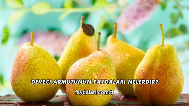Deveci Armutunun Faydaları Nelerdir?