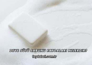 De­ve Sütü Sabunu Faydaları Nelerdir?