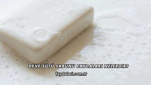 De­ve Sütü Sabunu Faydaları Nelerdir?