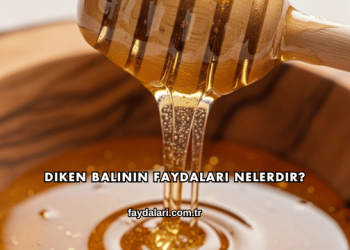 Diken Balının Faydaları Nelerdir?