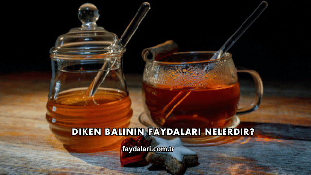 Diken Balının Faydaları Nelerdir?