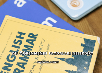 Dil Öğrenmenin Faydaları Nelerdir?