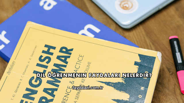 Dil Öğrenmenin Faydaları Nelerdir?