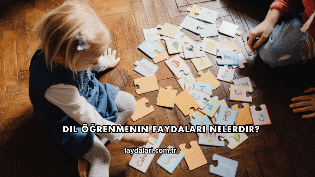 Dil Öğrenmenin Faydaları Nelerdir?