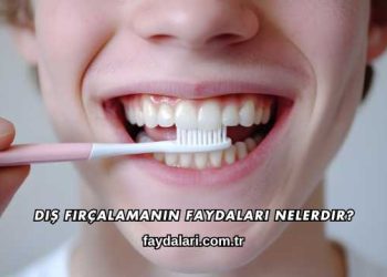 Diş Fırçalamanın Faydaları Nelerdir?