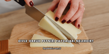 Divle Obruk Peyniri Faydaları Nelerdir?