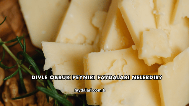 Divle Obruk Peyniri Faydaları Nelerdir?