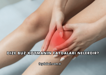 Dize Buz Koymanın Faydaları Nelerdir?