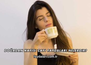 Doğadan Kayısı Çayı Faydaları Nelerdir?