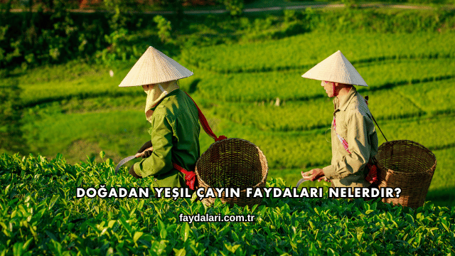 Doğadan Yeşil Çayın Faydaları Nelerdir?