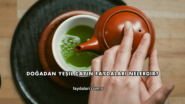 Doğadan Yeşil Çayın Faydaları Nelerdir?