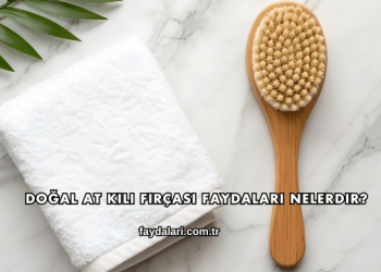 Doğal At Kılı Fırçası Faydaları Nelerdir?