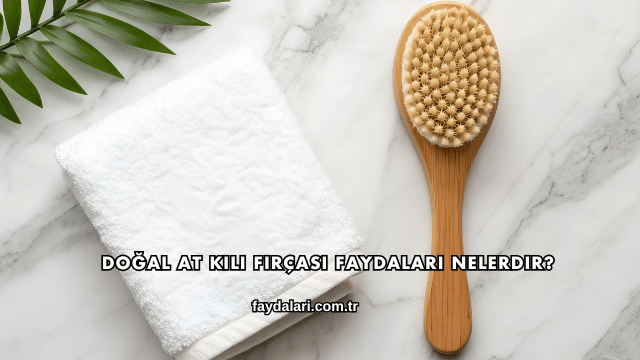 Doğal At Kılı Fırçası Faydaları Nelerdir?