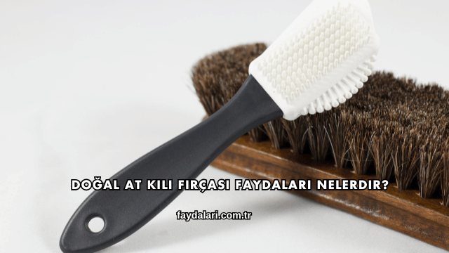 Doğal At Kılı Fırçası Faydaları Nelerdir?