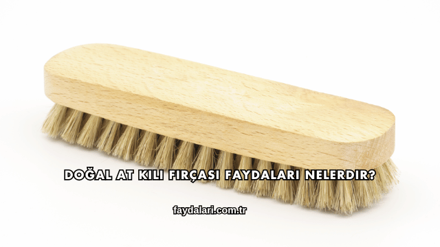 Doğal At Kılı Fırçası Faydaları Nelerdir?