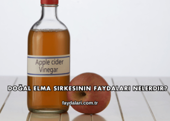 Doğal Elma Sirkesinin Faydaları Nelerdir?